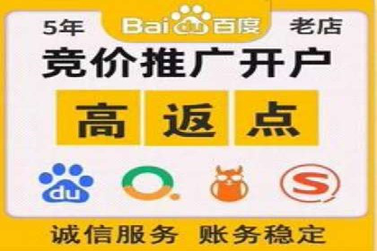 SEM公司案例分享：优化效果与转化率提升策略